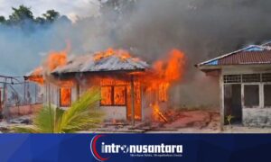 Warga Adat Umiyal Bakar 5 Unit Rumah yang Dibangun Pemkab Raja Ampat di Pulau Sain