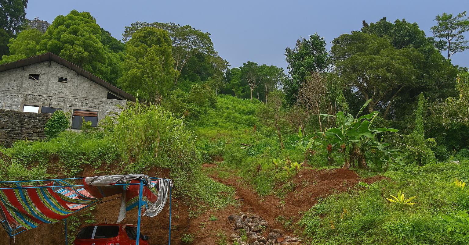 Polemik Lahan Ngade: Kebun Produktif Disebut Hutan Lindung, Warga Ajukan Bukti Penguasaan