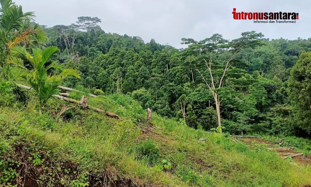 329 Persetujuan Perhutanan Sosial Terbit, Dishut Malut Pastikan Kepastian Hukum bagi Petani