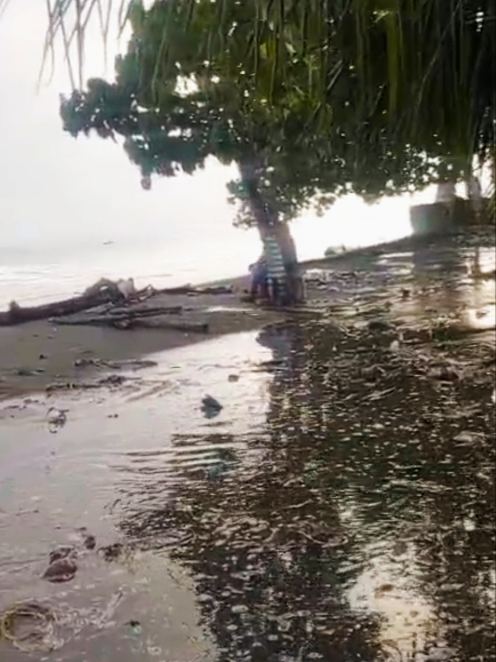 Warga Yawanli Terjang Banjir Rob Menjelang Ramadhan, Desak Pemerintah Bangun Swering 700 Meter